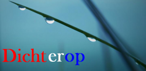 header dichterop